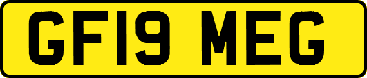 GF19MEG