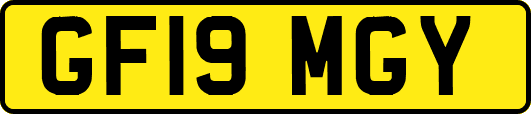 GF19MGY