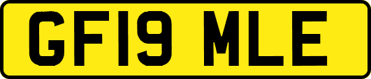 GF19MLE