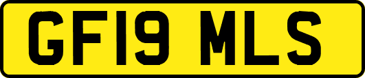 GF19MLS
