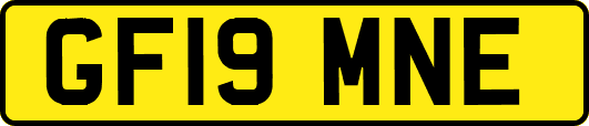 GF19MNE