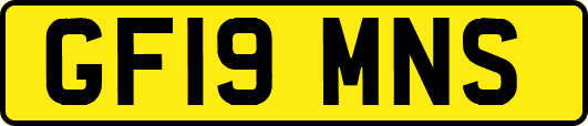 GF19MNS