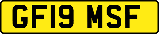 GF19MSF