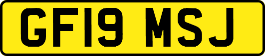 GF19MSJ