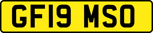 GF19MSO