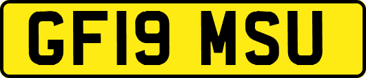 GF19MSU