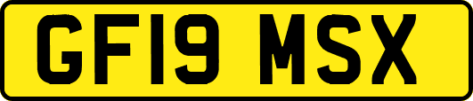 GF19MSX
