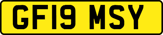 GF19MSY