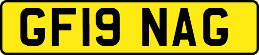 GF19NAG
