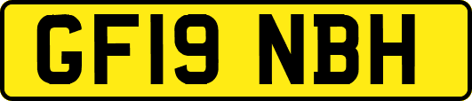 GF19NBH