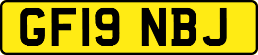 GF19NBJ