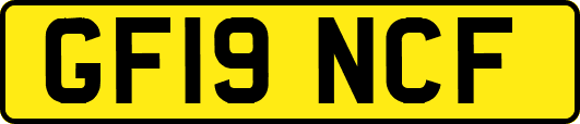 GF19NCF