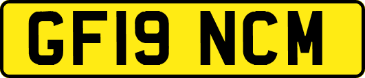 GF19NCM