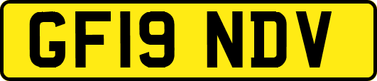 GF19NDV