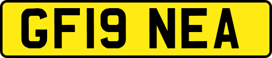 GF19NEA