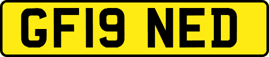 GF19NED