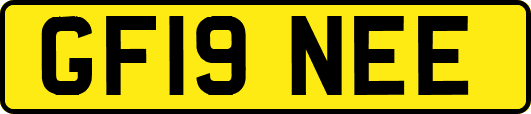 GF19NEE