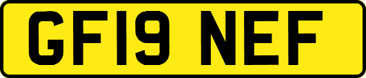 GF19NEF