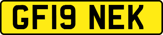 GF19NEK