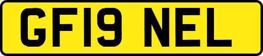 GF19NEL