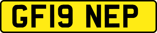 GF19NEP
