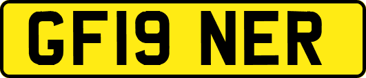GF19NER