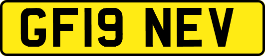 GF19NEV