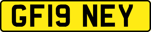 GF19NEY