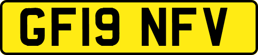 GF19NFV