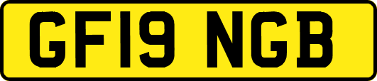 GF19NGB
