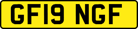 GF19NGF