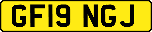 GF19NGJ