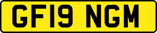 GF19NGM