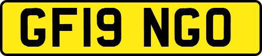 GF19NGO