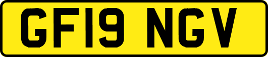 GF19NGV