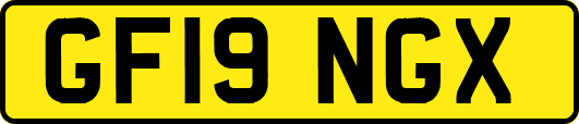 GF19NGX