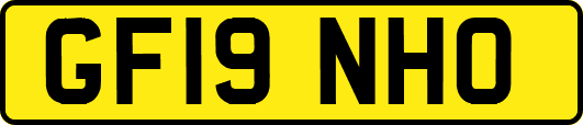 GF19NHO