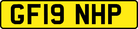 GF19NHP