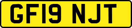 GF19NJT
