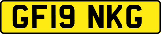 GF19NKG
