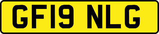 GF19NLG