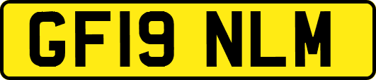 GF19NLM