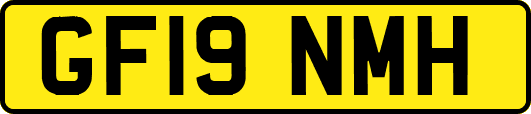 GF19NMH
