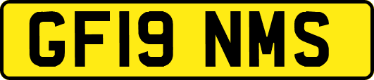 GF19NMS