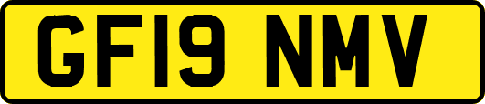 GF19NMV
