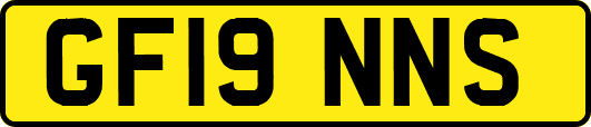 GF19NNS