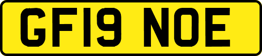 GF19NOE