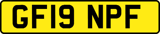 GF19NPF