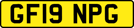 GF19NPG