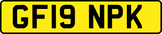 GF19NPK